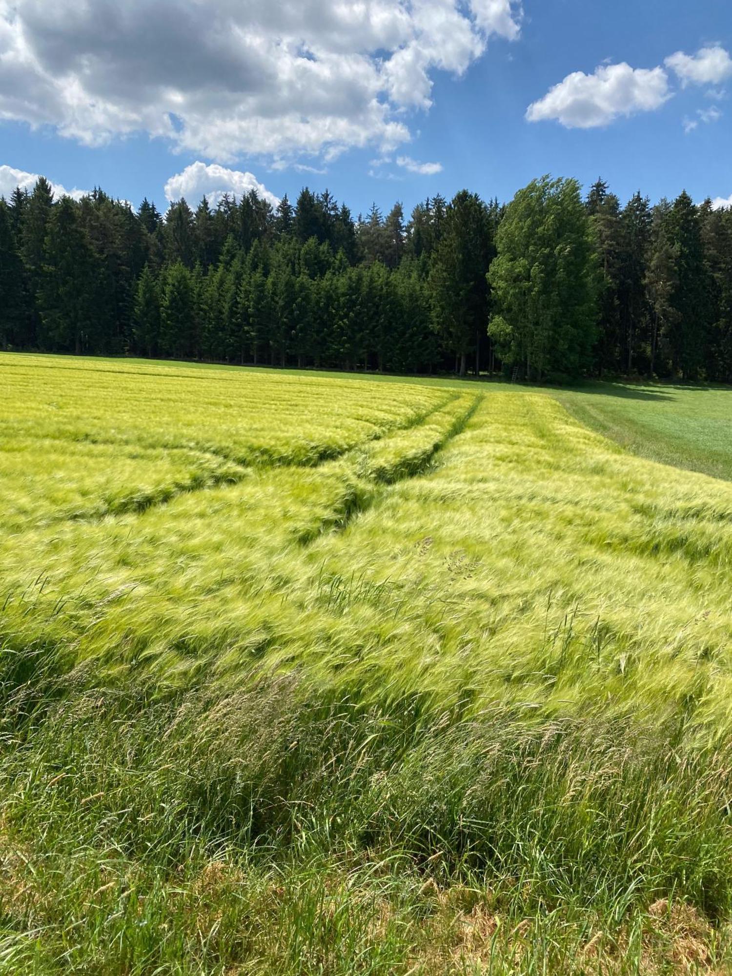 Haus Mit Geschichte In Maehring Lägenhet Exteriör bild